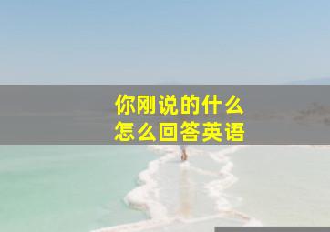 你刚说的什么怎么回答英语