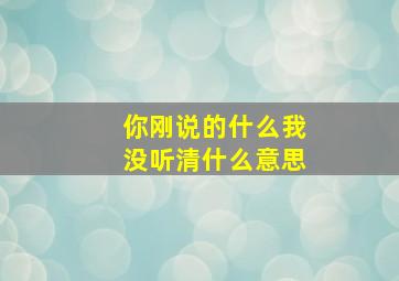 你刚说的什么我没听清什么意思