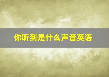 你听到是什么声音英语