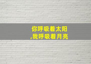 你呼吸着太阳,我呼吸着月亮