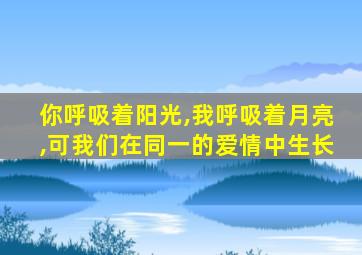 你呼吸着阳光,我呼吸着月亮,可我们在同一的爱情中生长