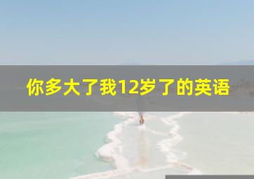 你多大了我12岁了的英语