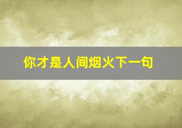 你才是人间烟火下一句