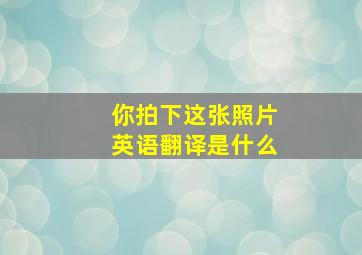 你拍下这张照片英语翻译是什么