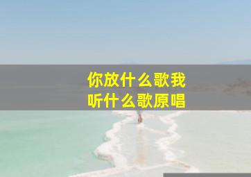 你放什么歌我听什么歌原唱