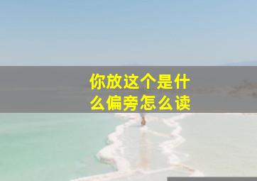 你放这个是什么偏旁怎么读