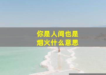 你是人间也是烟火什么意思