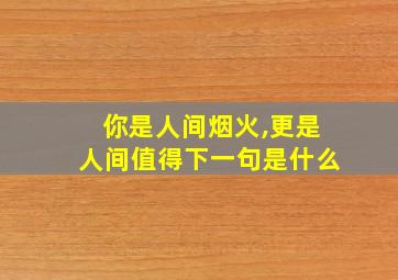 你是人间烟火,更是人间值得下一句是什么