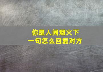 你是人间烟火下一句怎么回复对方