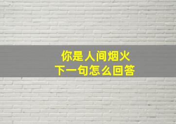 你是人间烟火下一句怎么回答