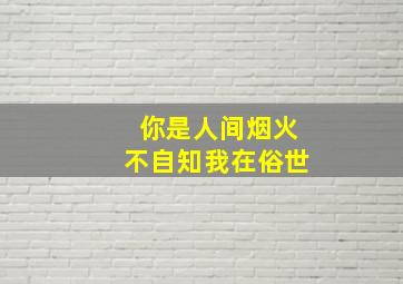 你是人间烟火不自知我在俗世