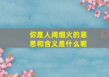 你是人间烟火的意思和含义是什么呢