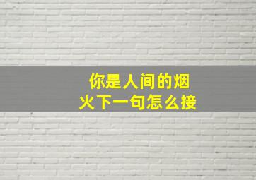 你是人间的烟火下一句怎么接