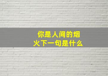 你是人间的烟火下一句是什么