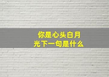 你是心头白月光下一句是什么