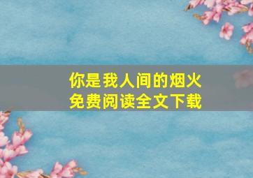 你是我人间的烟火免费阅读全文下载