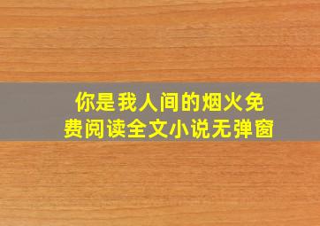 你是我人间的烟火免费阅读全文小说无弹窗