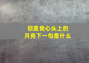 你是我心头上的月亮下一句是什么