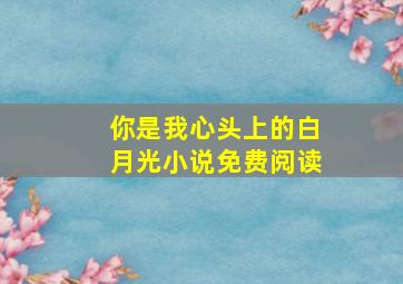 你是我心头上的白月光小说免费阅读