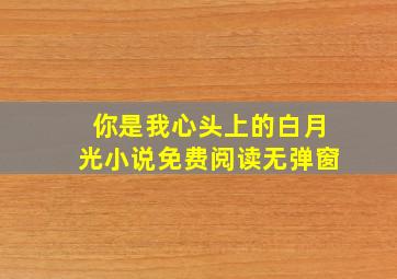 你是我心头上的白月光小说免费阅读无弹窗