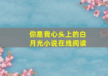 你是我心头上的白月光小说在线阅读