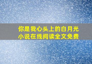 你是我心头上的白月光小说在线阅读全文免费