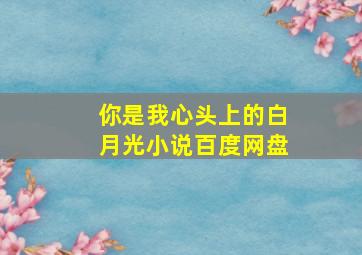 你是我心头上的白月光小说百度网盘