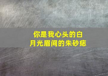 你是我心头的白月光眉间的朱砂痣