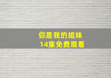 你是我的姐妹14集免费观看