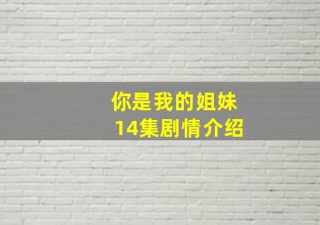 你是我的姐妹14集剧情介绍