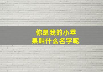 你是我的小苹果叫什么名字呢