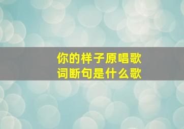 你的样子原唱歌词断句是什么歌