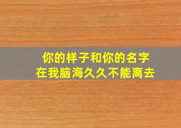 你的样子和你的名字在我脑海久久不能离去