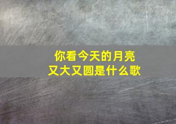 你看今天的月亮又大又圆是什么歌