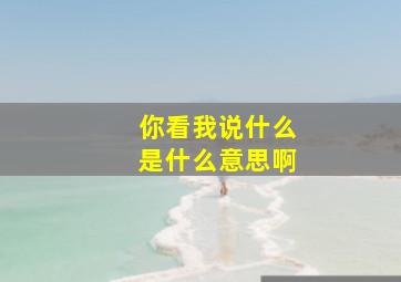 你看我说什么是什么意思啊