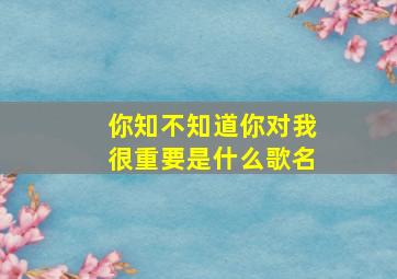 你知不知道你对我很重要是什么歌名