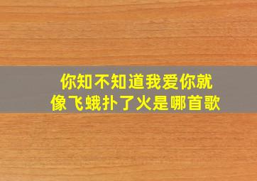 你知不知道我爱你就像飞蛾扑了火是哪首歌