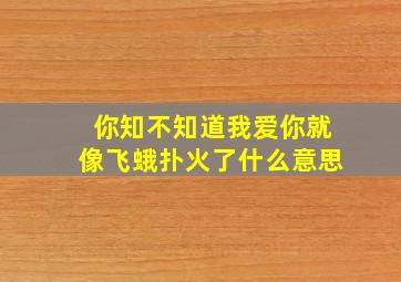 你知不知道我爱你就像飞蛾扑火了什么意思