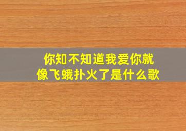 你知不知道我爱你就像飞蛾扑火了是什么歌