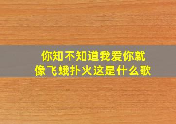 你知不知道我爱你就像飞蛾扑火这是什么歌