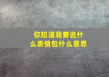 你知道我要说什么表情包什么意思