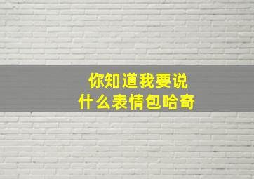 你知道我要说什么表情包哈奇