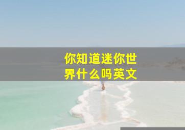 你知道迷你世界什么吗英文