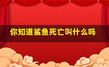 你知道鲨鱼死亡叫什么吗