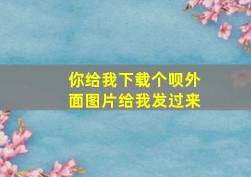 你给我下载个呗外面图片给我发过来