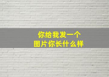 你给我发一个图片你长什么样