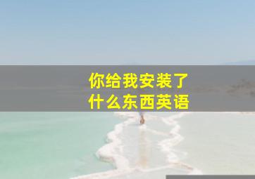 你给我安装了什么东西英语