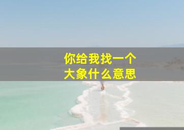 你给我找一个大象什么意思