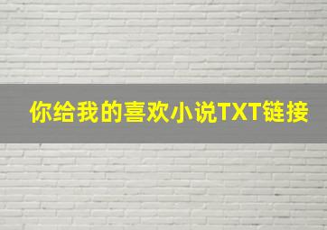 你给我的喜欢小说TXT链接