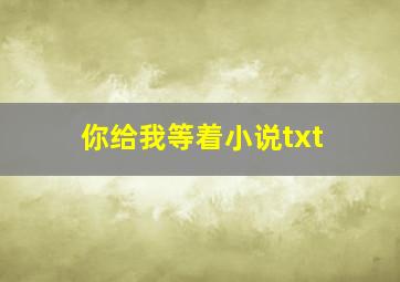 你给我等着小说txt